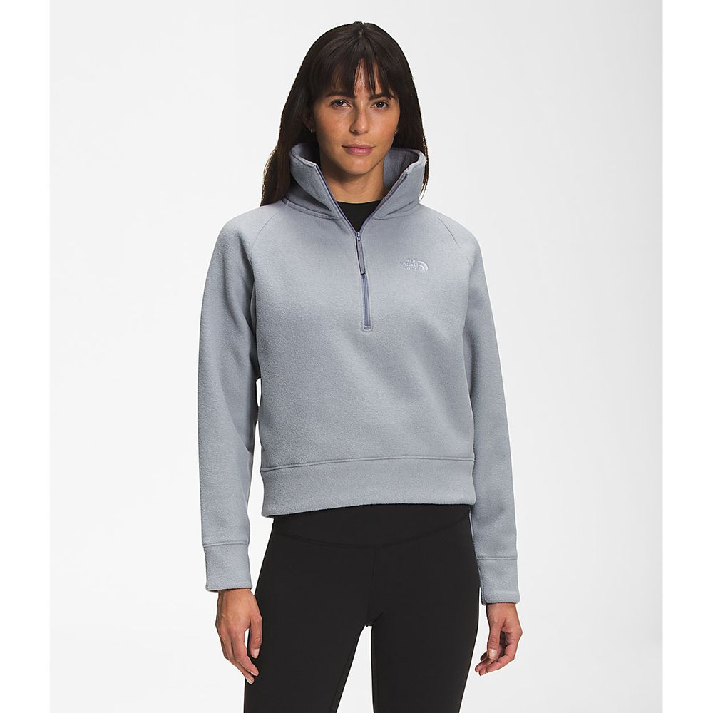 The North Face Fleece Jacket Womens Australia - The North Face City Standard Micro- ¼ Zip Light Grey